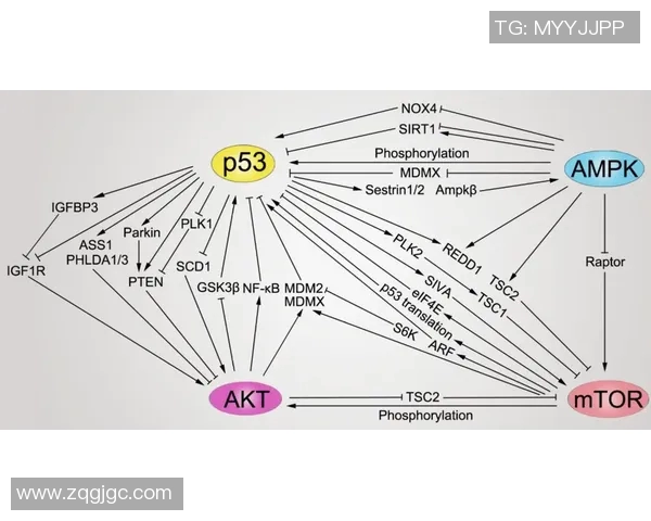 王军独家分享英雄联盟游戏心得与技巧提升之道
