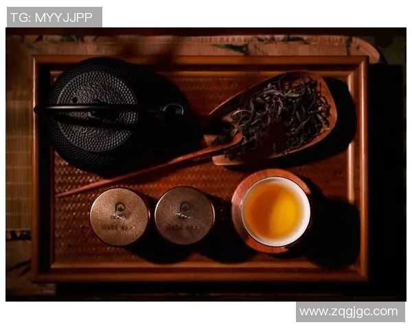 茶堂内外：探索茶文化的传承与创新之道